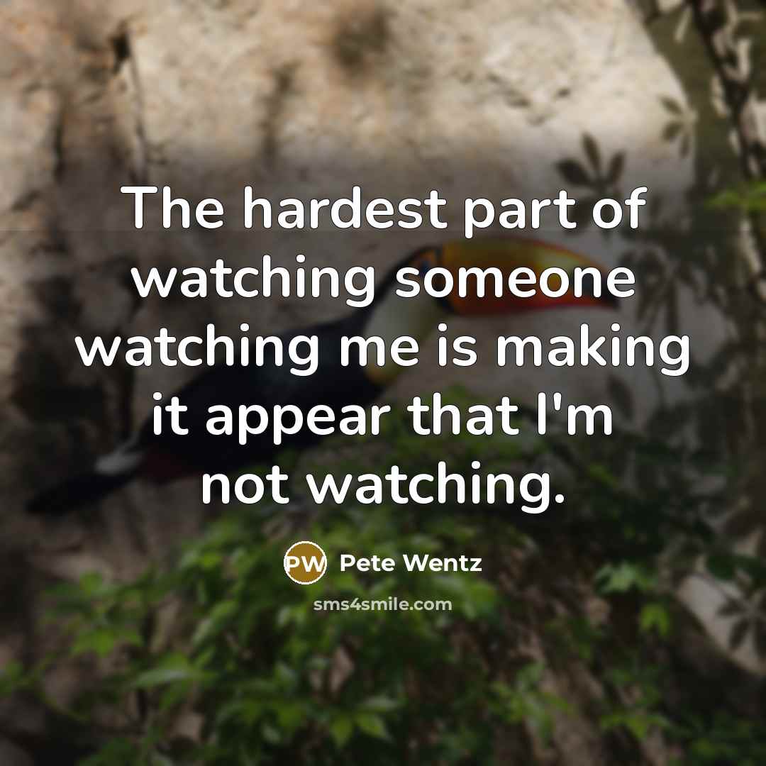 “The hardest part of watching someone watching me is making…” quote by Pete Wentz