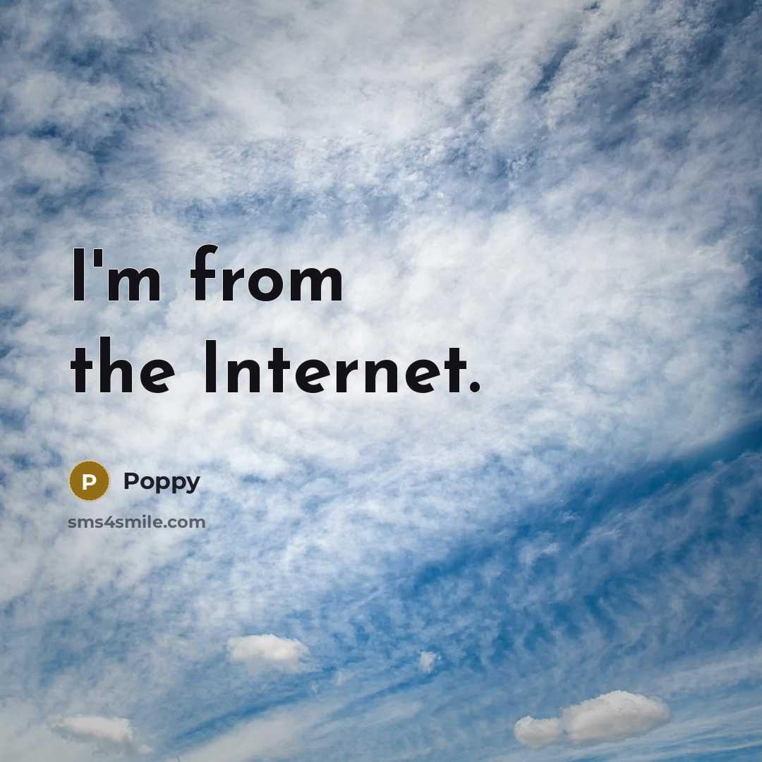 “I'm from the Internet.…” quote by Poppy