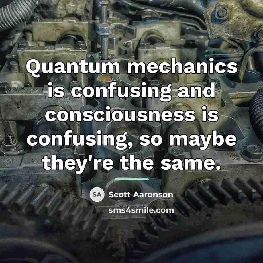 “Quantum mechanics is confusing and consciousness is confusing, so maybe…” quote by Scott Aaronson