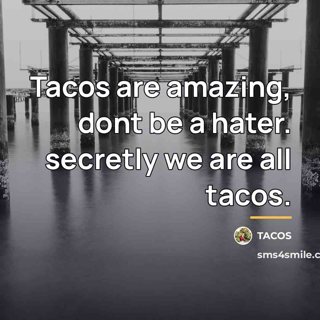 “Tacos are amazing, dont be a hater. secretly we are…” quote by Tacos