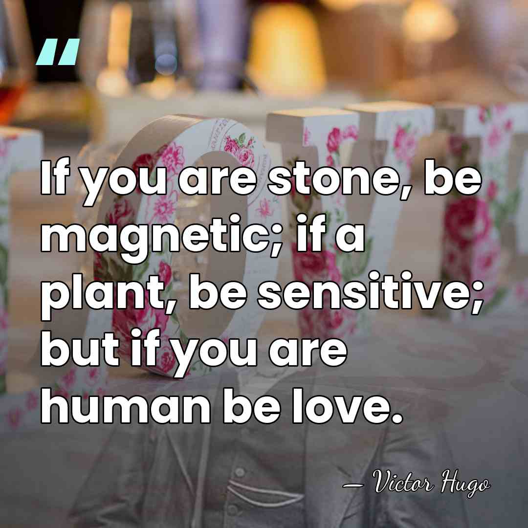 If you are stone, be magnetic; if a plant, be sensitive; but&hellip; - Victor Hugo