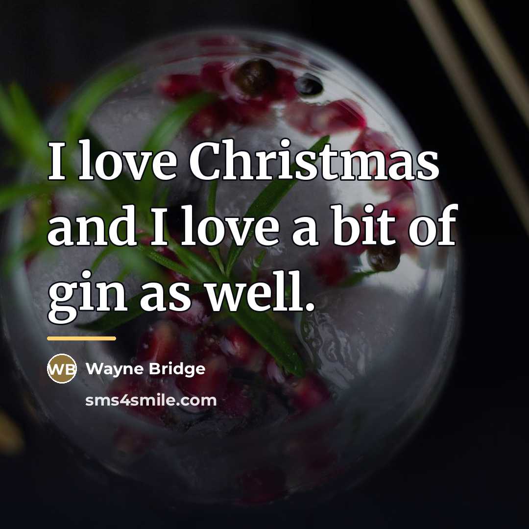 “I love Christmas and I love a bit of gin…” quote by Wayne Bridge