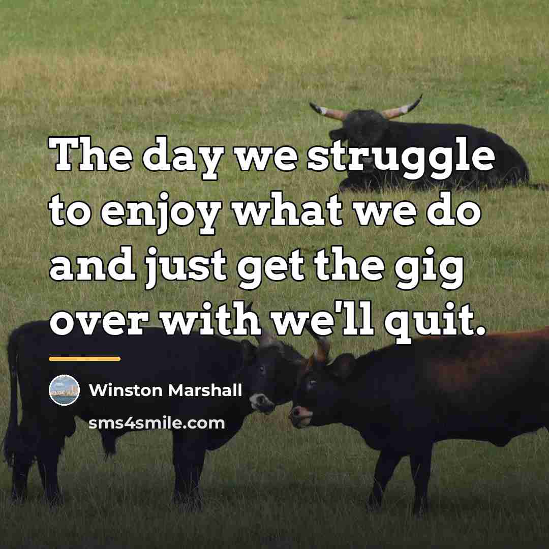 “The day we struggle to enjoy what we do and…” quote by Winston Marshall
