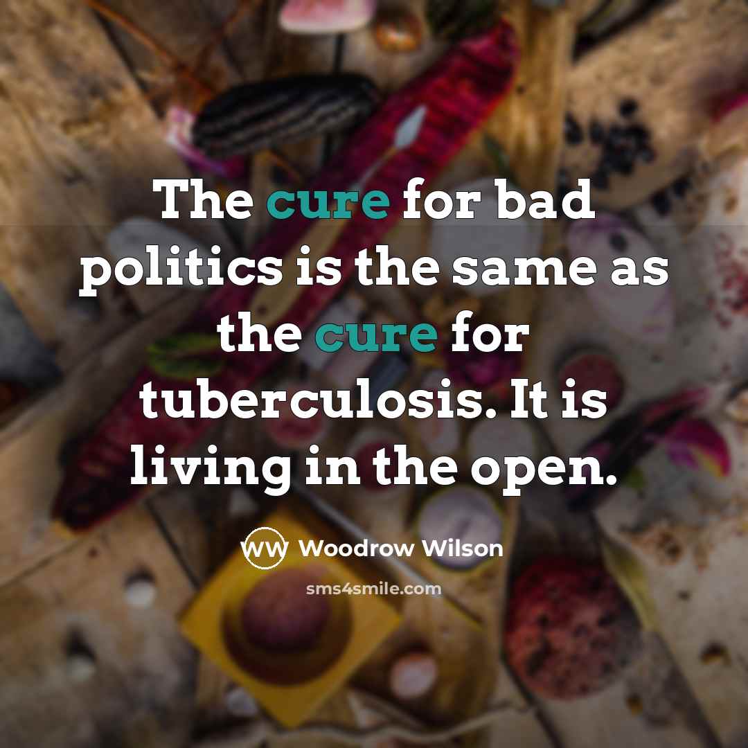 “The cure for bad politics is the same as the…” quote by Woodrow Wilson