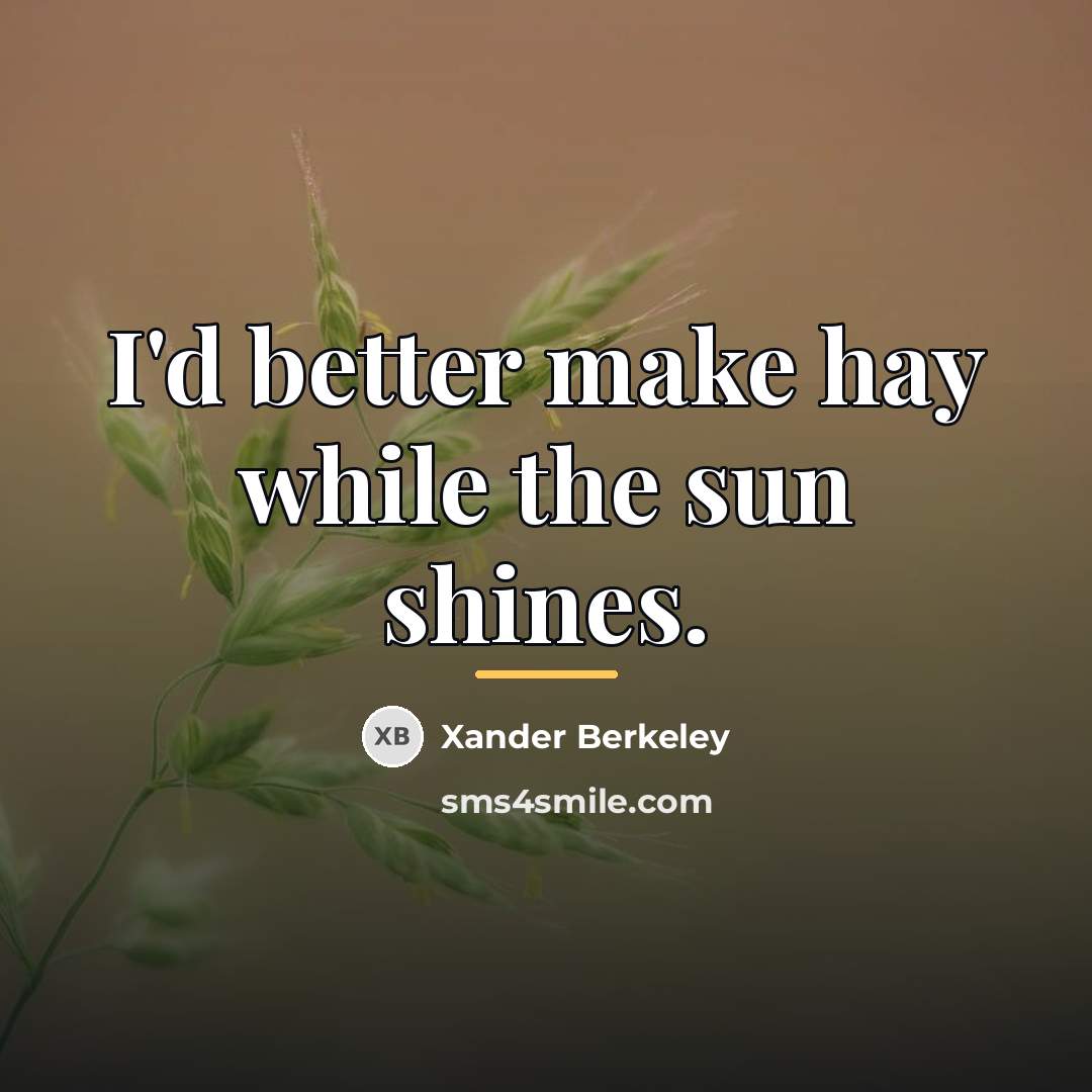 “I'd better make hay while the sun shines.…” quote by Xander Berkeley