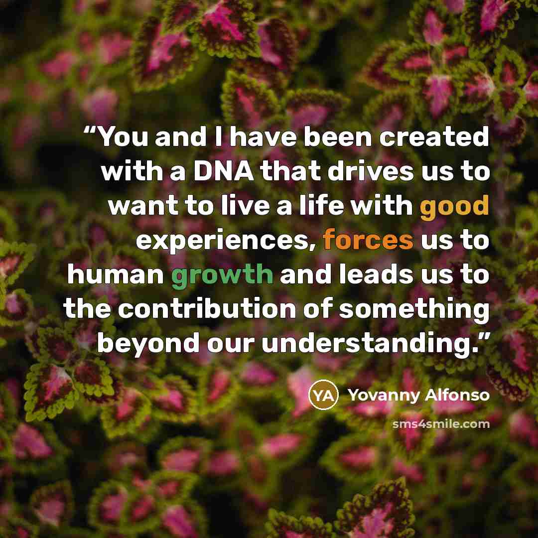 “You and I have been created with a DNA that drives us to want to live a life with good experiences, forces us to human growth and leads us to the contribution of something beyond our understanding.” quote by Yovanny Alfonso