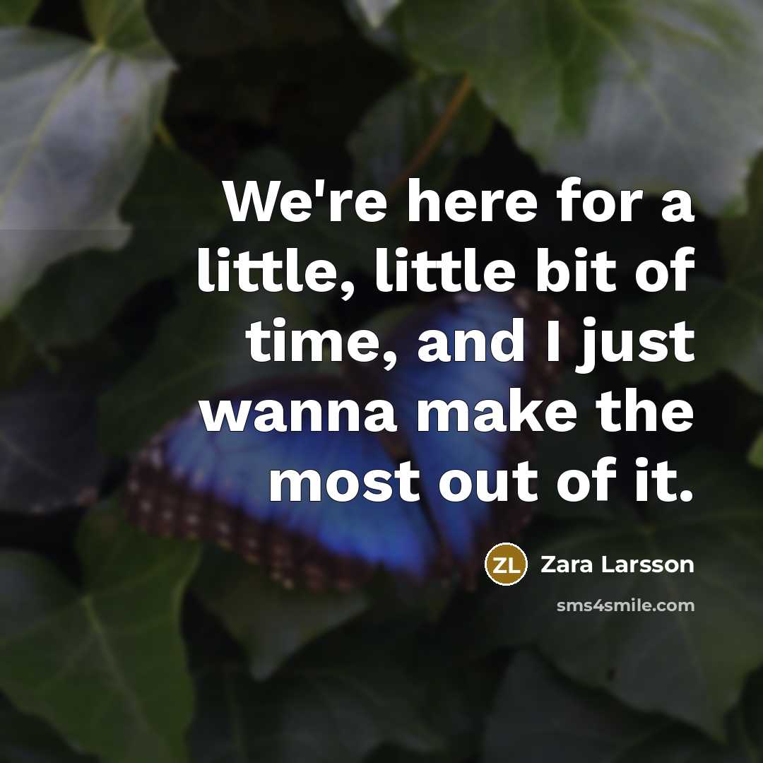 “We're here for a little, little bit of time, and…” quote by Zara Larsson