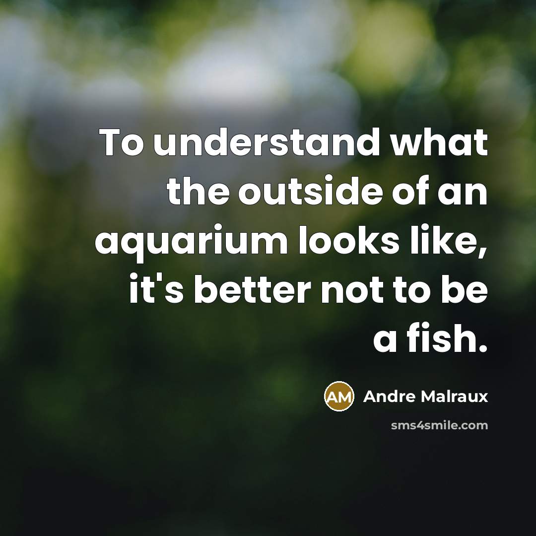 “To understand what the outside of an aquarium looks like,…” quote by Andre Malraux