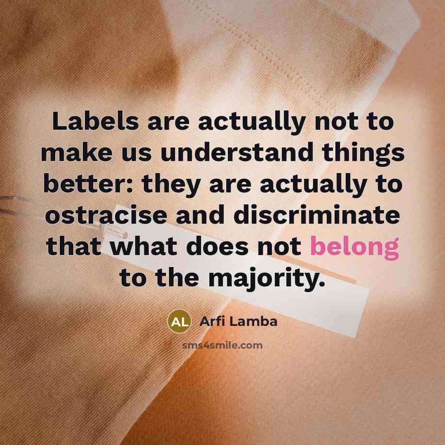 “Labels are actually not to make us understand things better:…” quote by Arfi Lamba