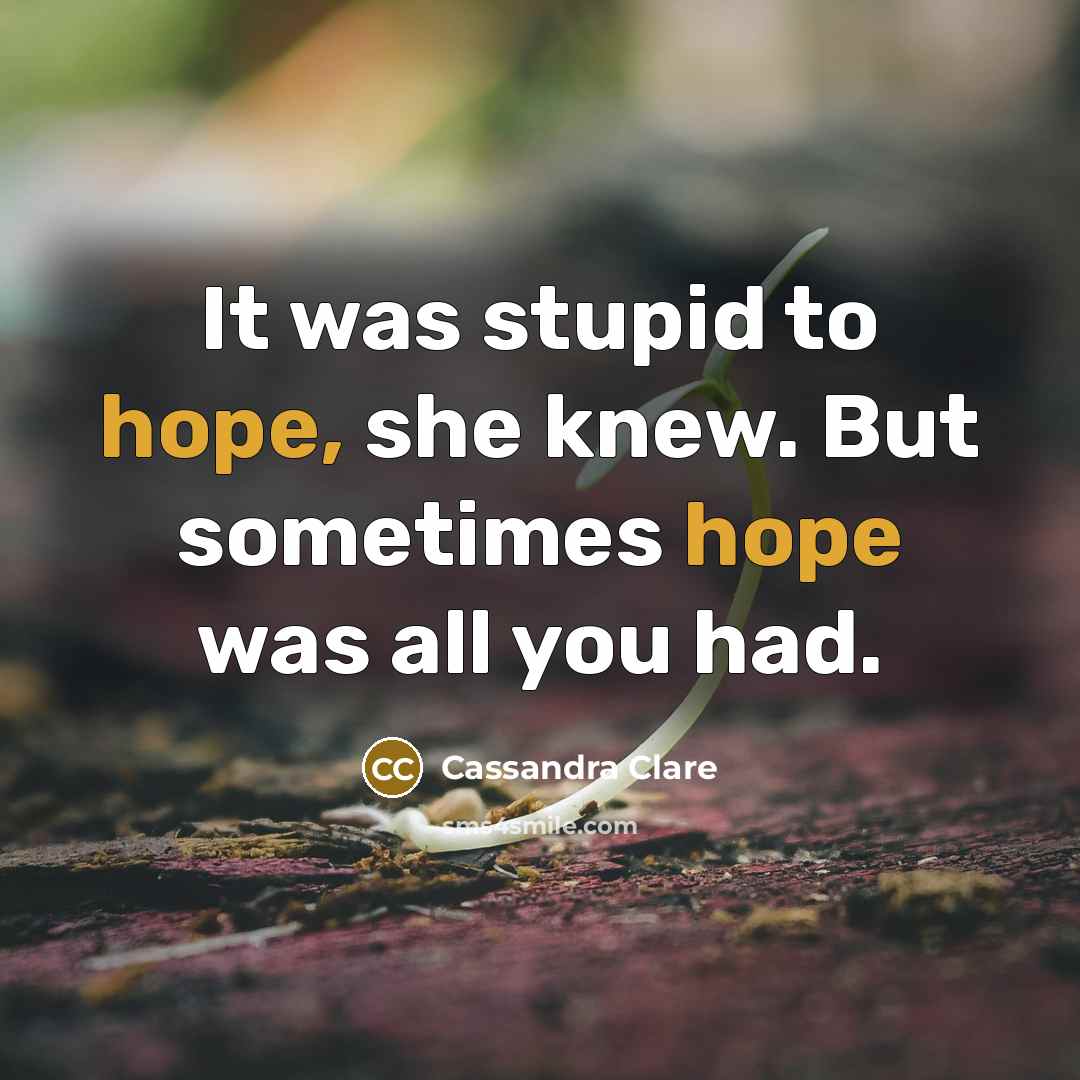 “It was stupid to hope, she knew. But sometimes hope…” quote by Cassandra Clare