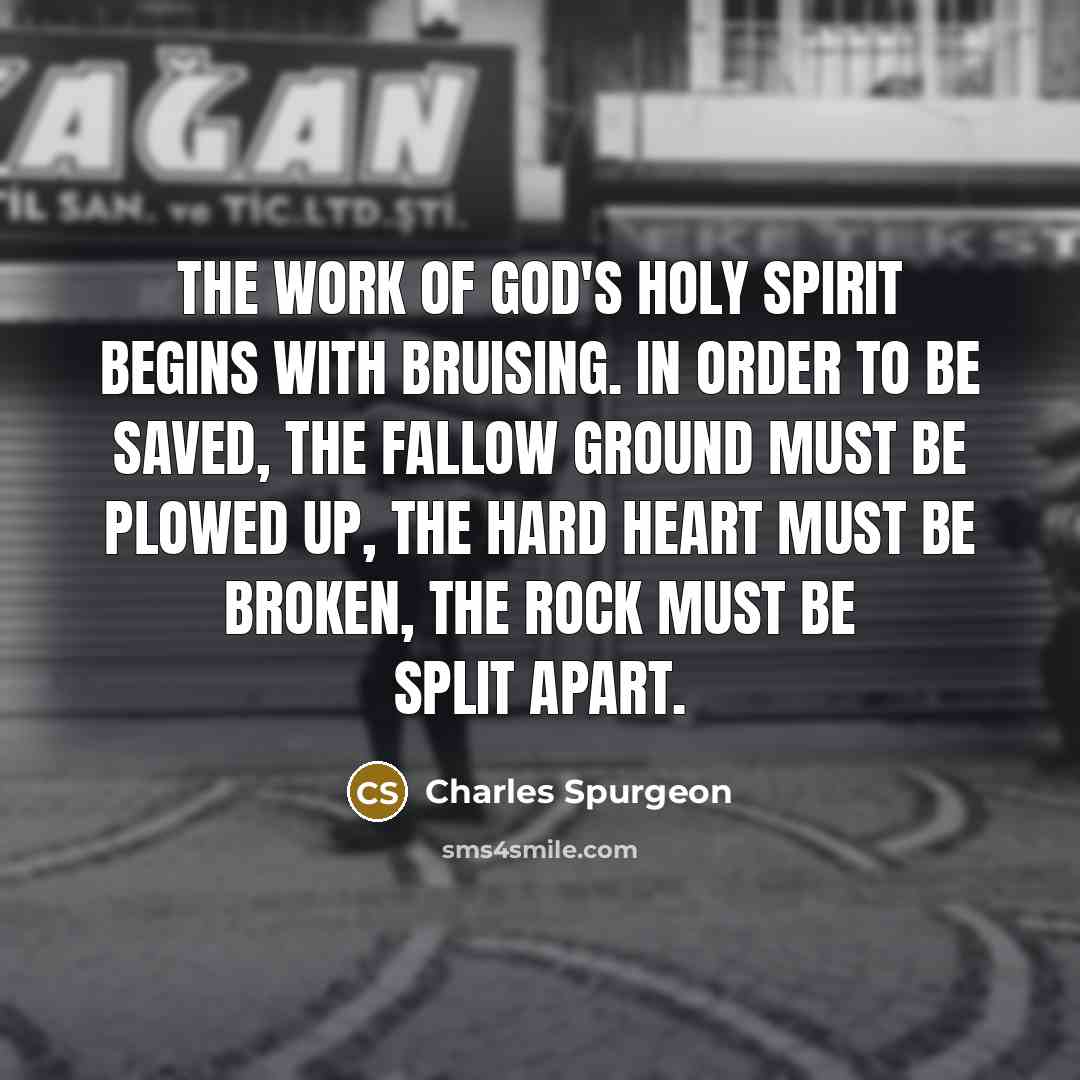 “The work of God's Holy Spirit begins with bruising. In…” quote by Charles Spurgeon