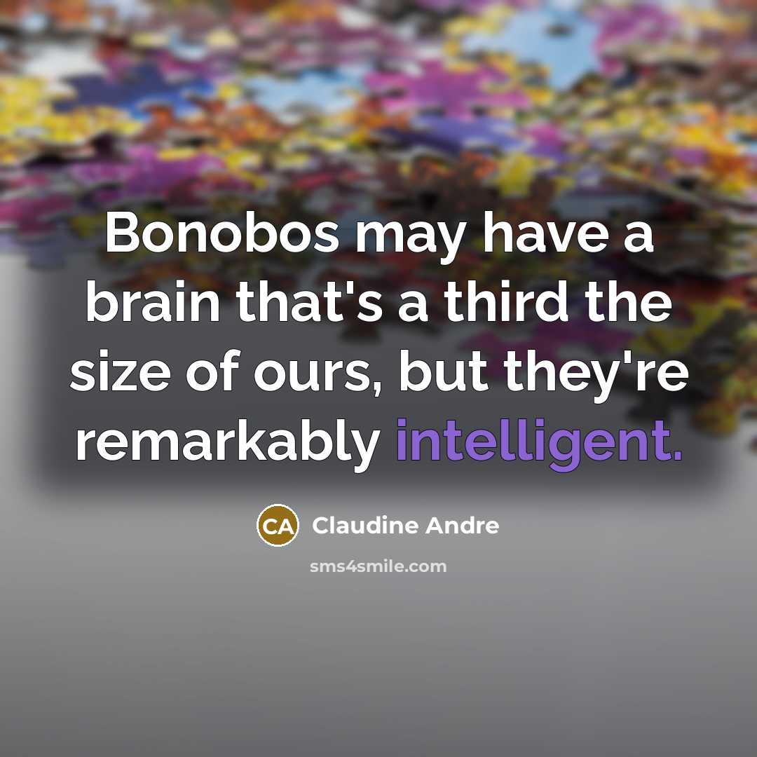 “Bonobos may have a brain that's a third the size…” quote by Claudine Andre