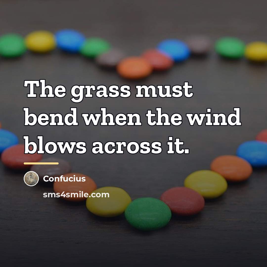 “The grass must bend when the wind blows across it.…” quote by Confucius