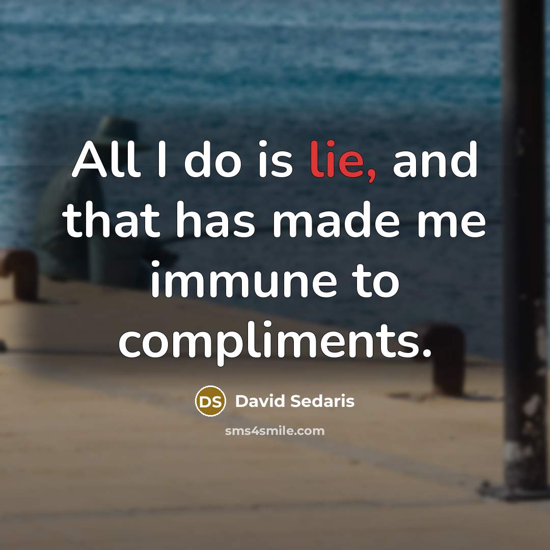 “All I do is lie, and that has made me…” quote by David Sedaris