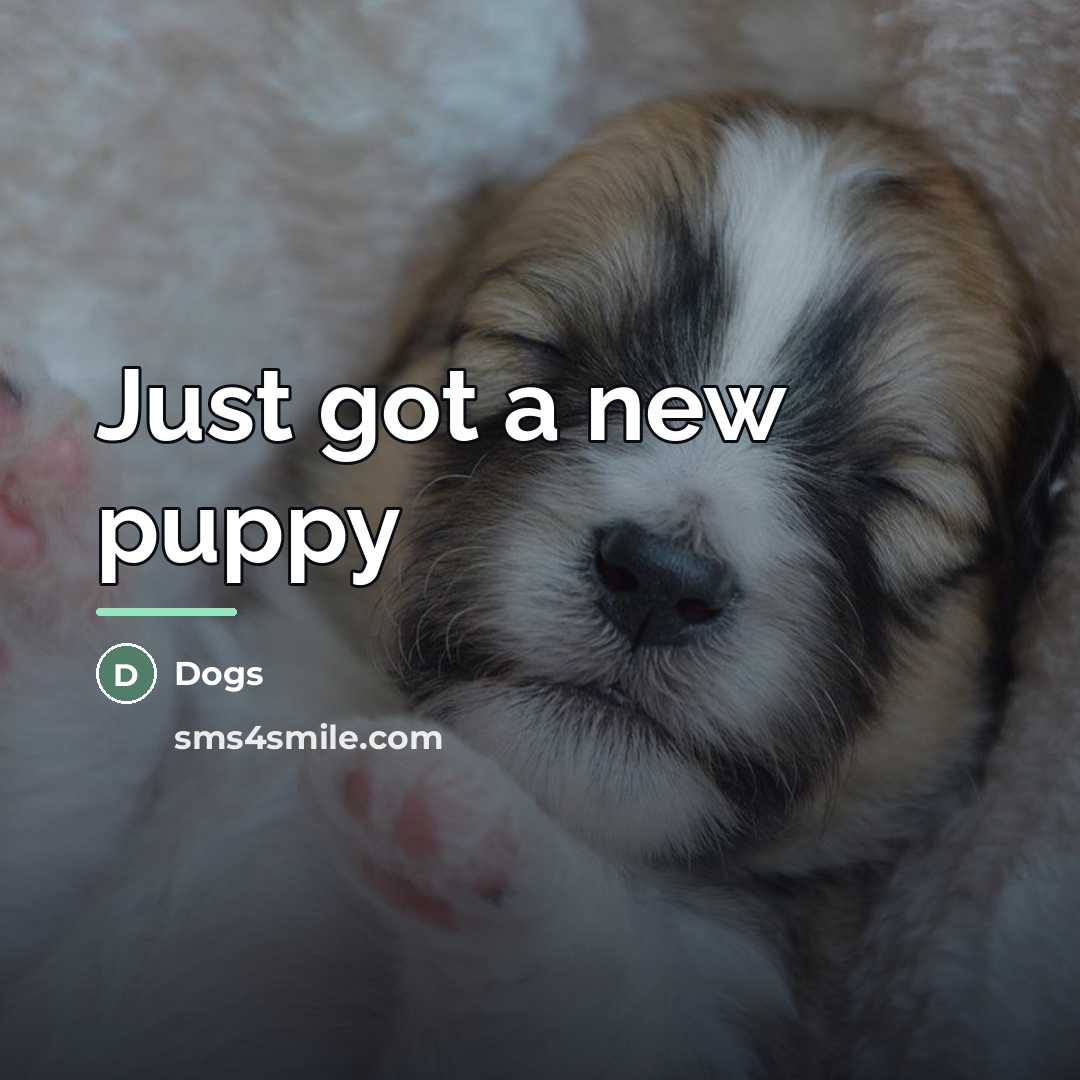 “Just got a new puppy…” quote by Dogs