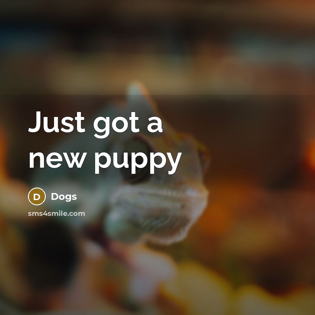 “Just got a new puppy” quote by Dogs