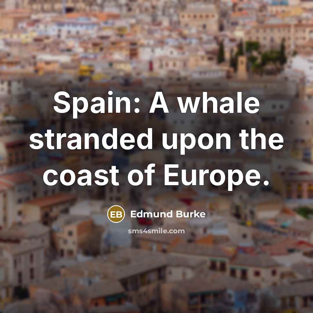 “Spain: A whale stranded upon the coast of Europe.…” quote by Edmund Burke