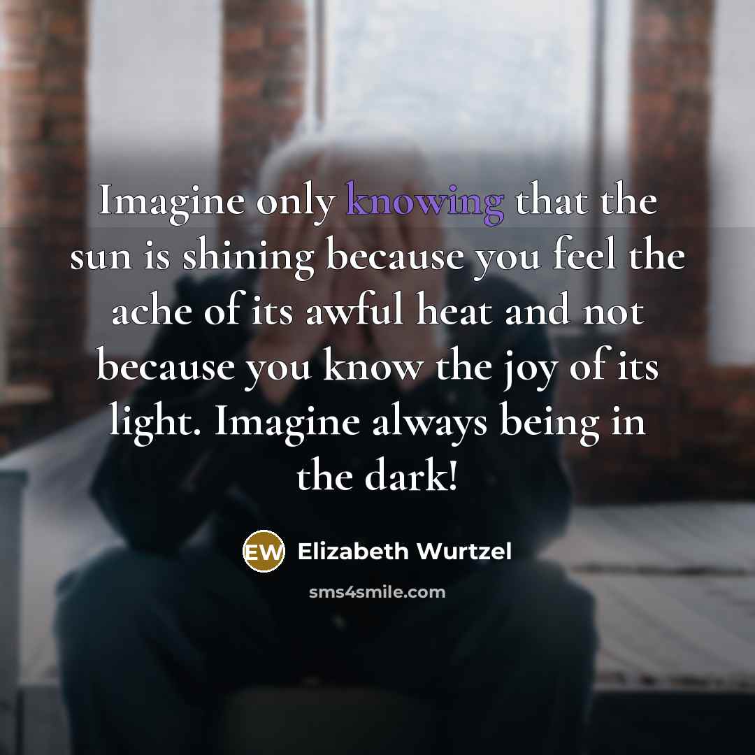 “Imagine only knowing that the sun is shining because you…” quote by Elizabeth Wurtzel