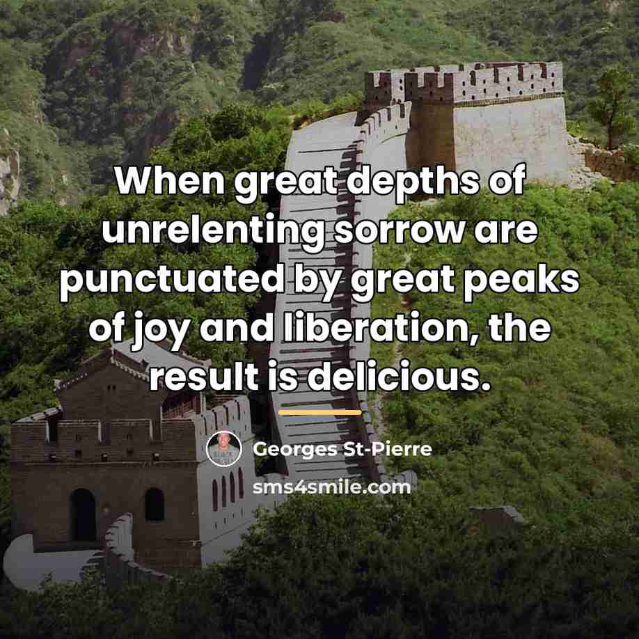 “When great depths of unrelenting sorrow are punctuated by great…” quote by Georges St-Pierre