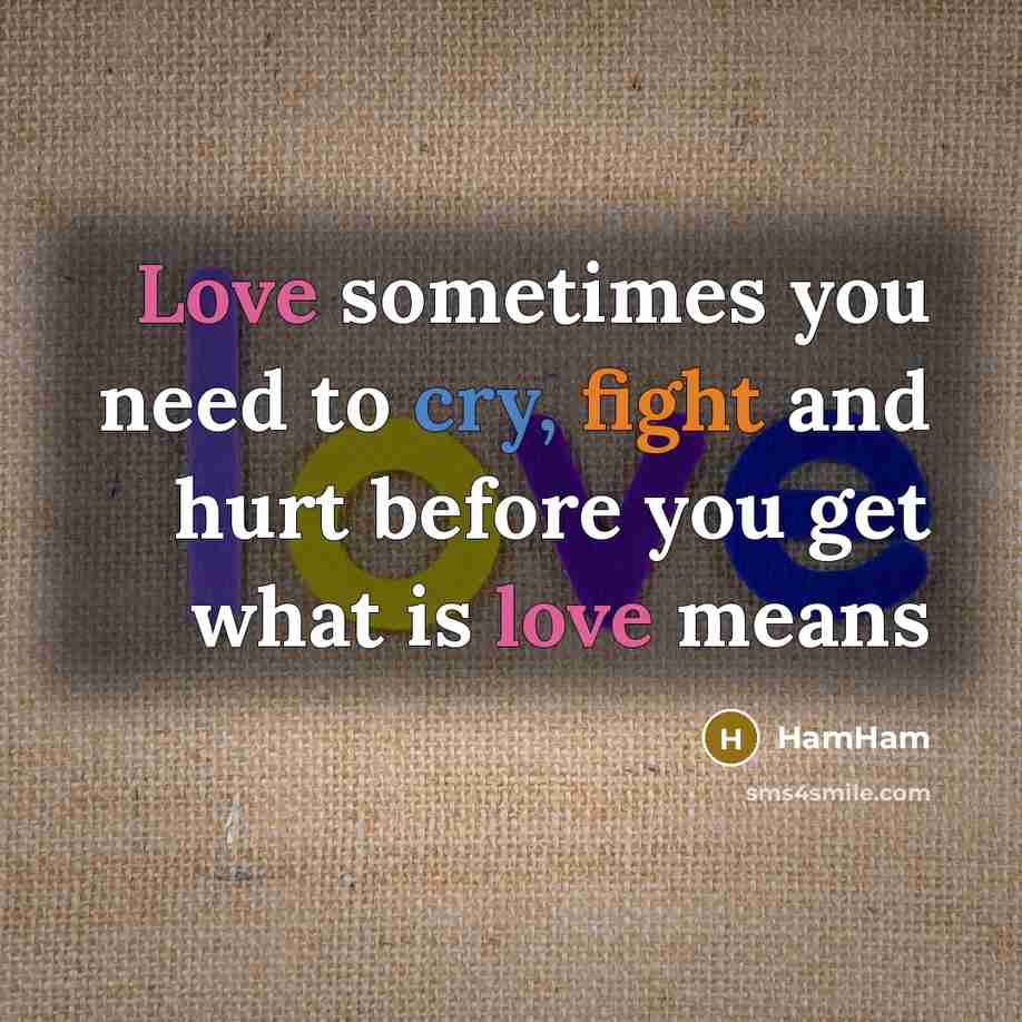 “Love sometimes you need to cry, fight and hurt before you get what is love means” quote by HamHam