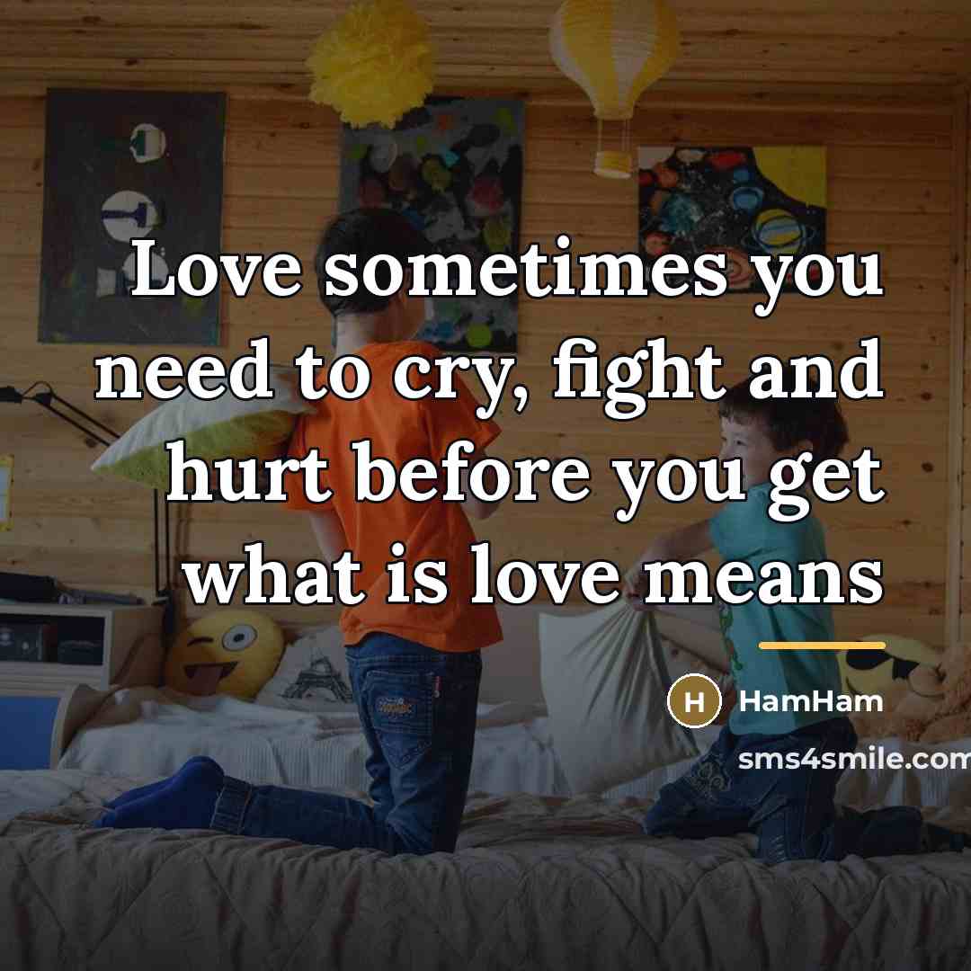 “Love sometimes you need to cry, fight and hurt before…” quote by HamHam