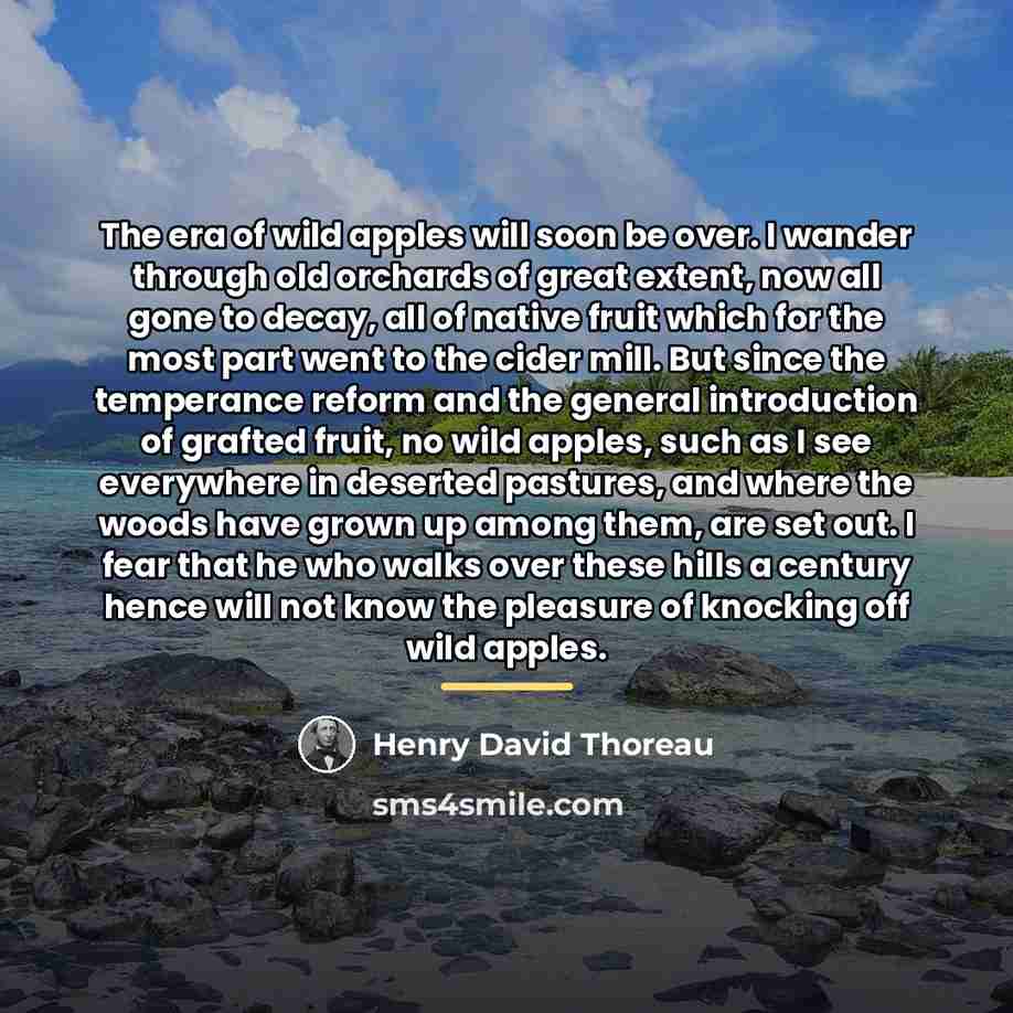 “The era of wild apples will soon be over. I…” quote by Henry David Thoreau