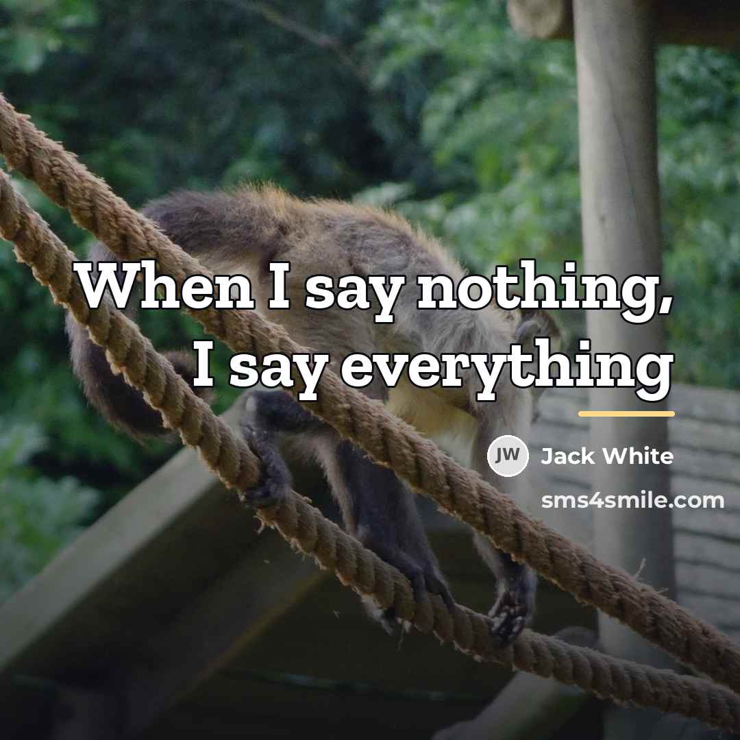 “When I say nothing, I say everything…” quote by Jack White