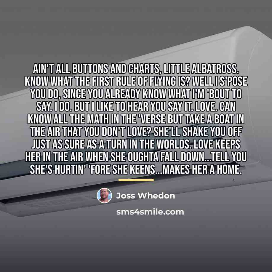 “Ain't all buttons and charts, little albatross. Know what the…” quote by Joss Whedon