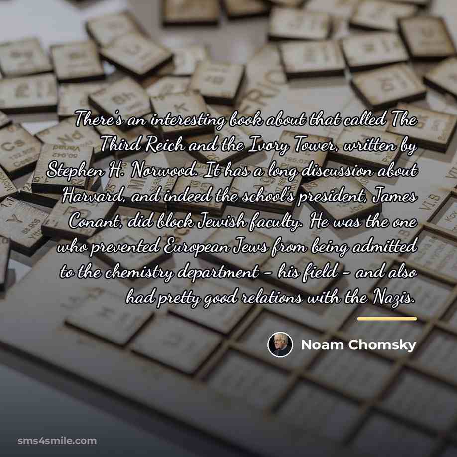“There's an interesting book about that called The Third Reich…” quote by Noam Chomsky