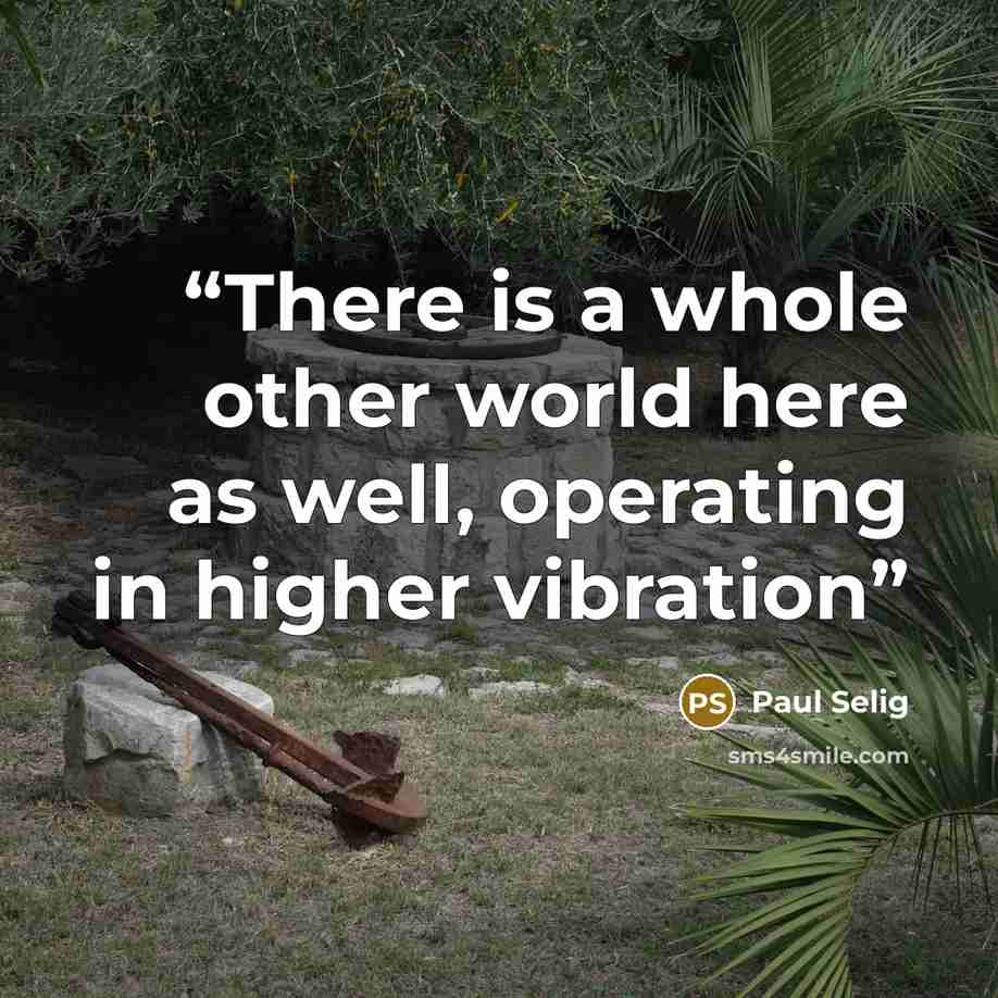 “There is a whole other world here as well, operating in higher vibration” quote by Paul Selig