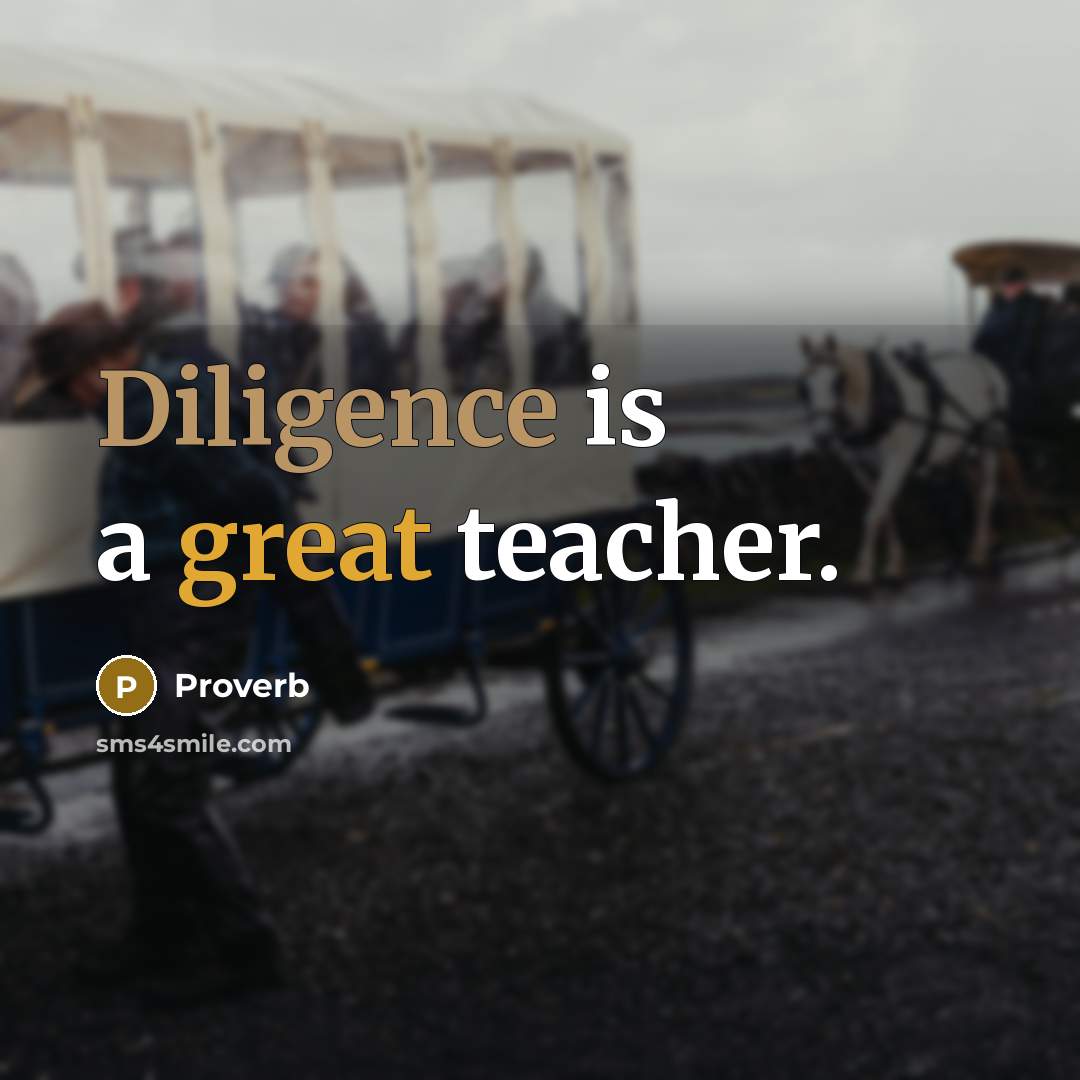 “Diligence is a great teacher.…” quote by Proverb