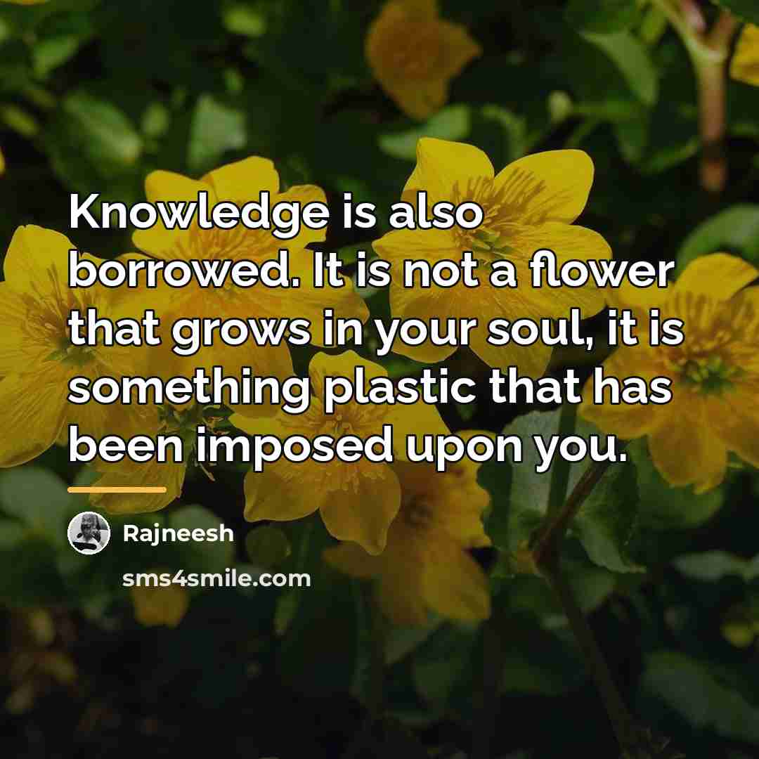 “Knowledge is also borrowed. It is not a flower that…” quote by Rajneesh