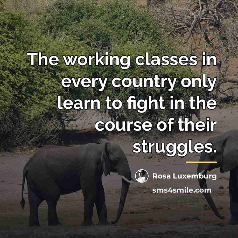 “The working classes in every country only learn to fight…” quote by Rosa Luxemburg