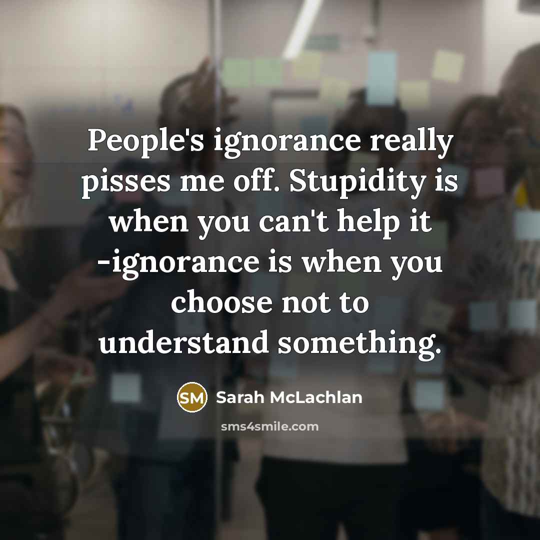 “People's ignorance really pisses me off. Stupidity is when you…” quote by Sarah McLachlan