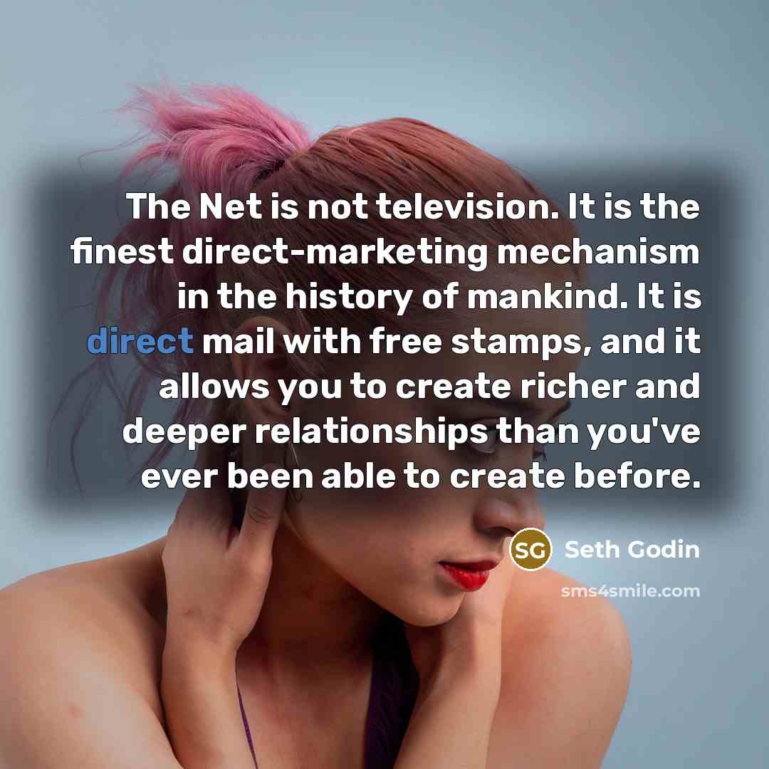 “The Net is not television. It is the finest direct-marketing…” quote by Seth Godin
