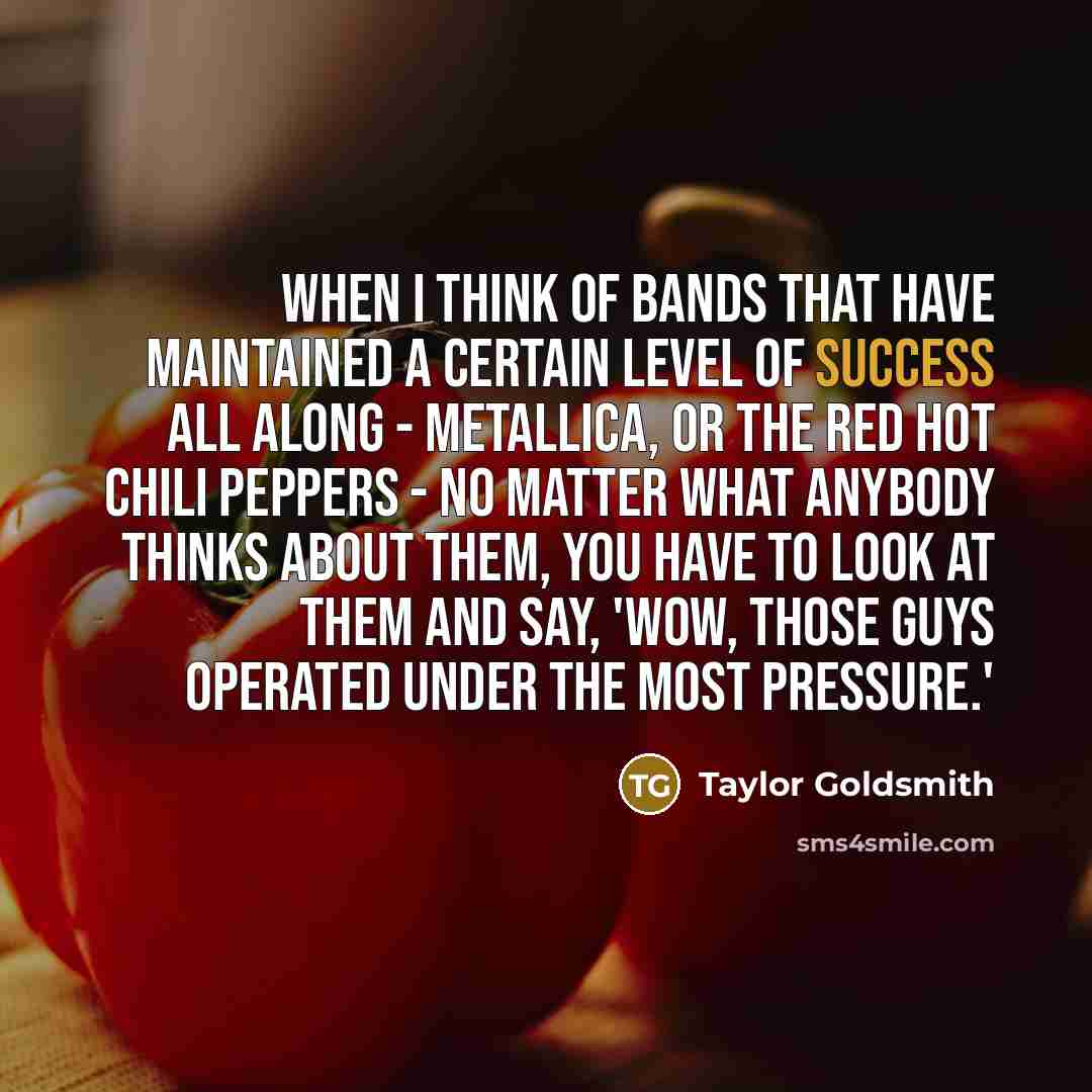 “When I think of bands that have maintained a certain level of success all along - Metallica, or the Red Hot Chili Peppers - no matter what anybody thinks about them, you have to look at them and say, 'Wow, those guys operated under the most pressure.'” quote by Taylor Goldsmith