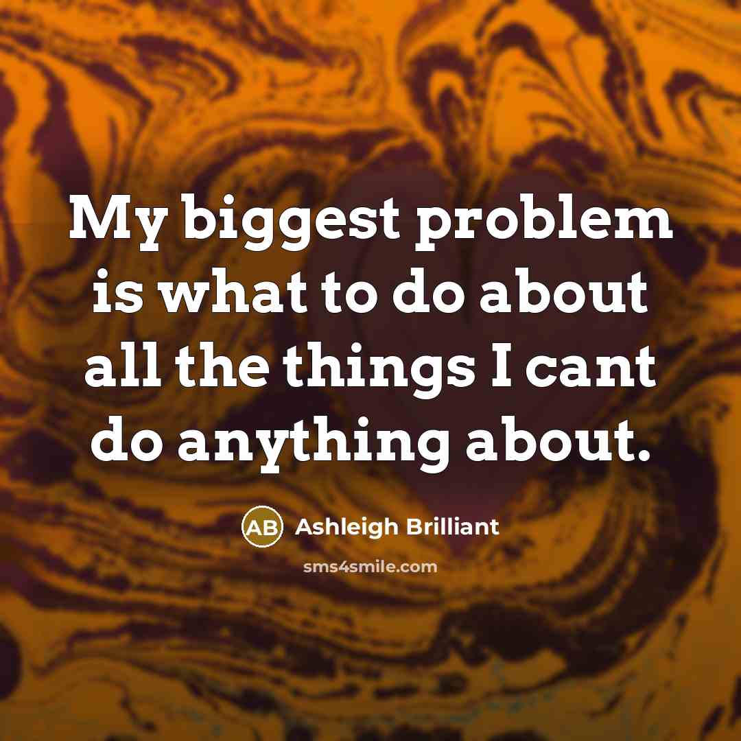 “My biggest problem is what to do about all the things I cant do anything about.” quote by Ashleigh Brilliant