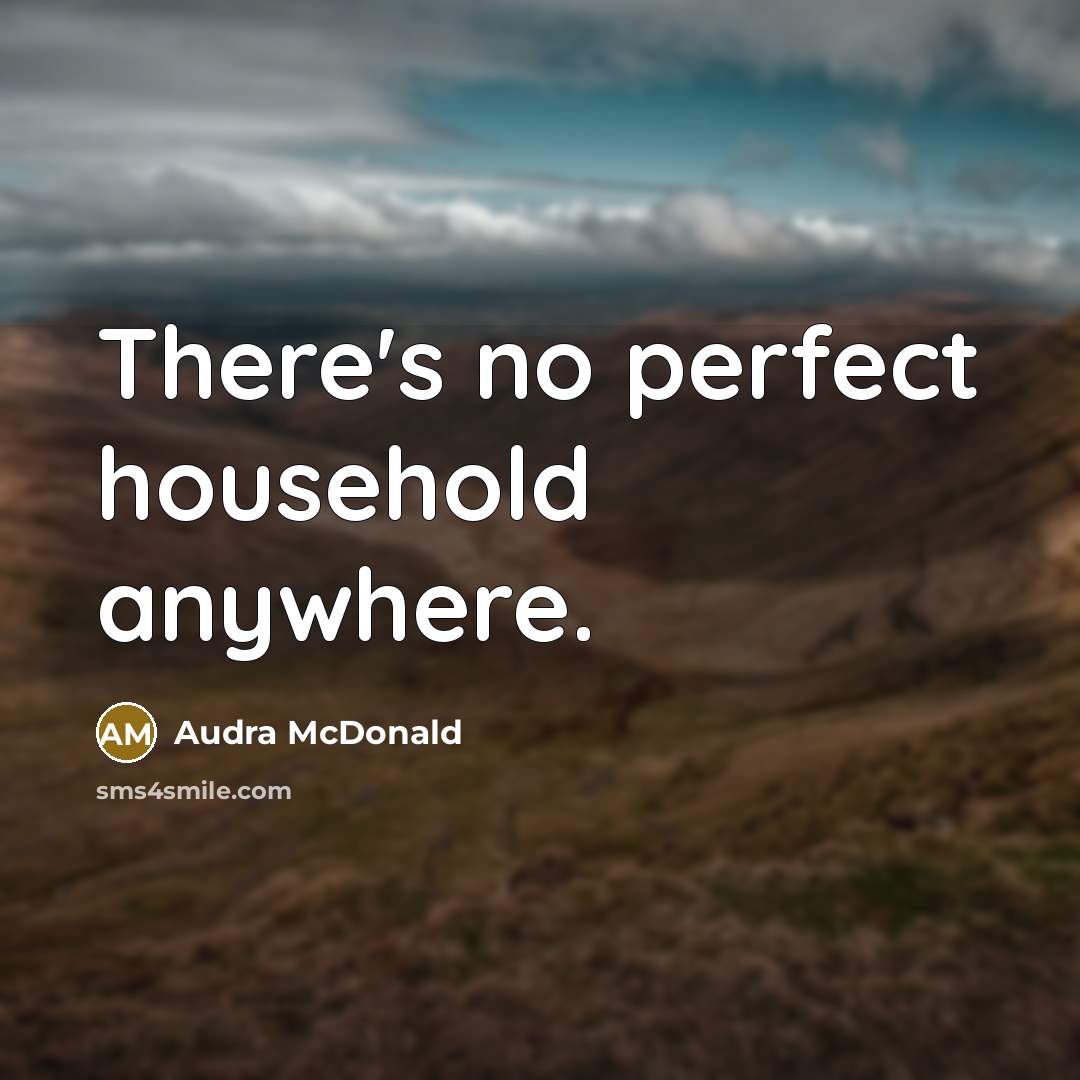 “There's no perfect household anywhere.…” quote by Audra McDonald