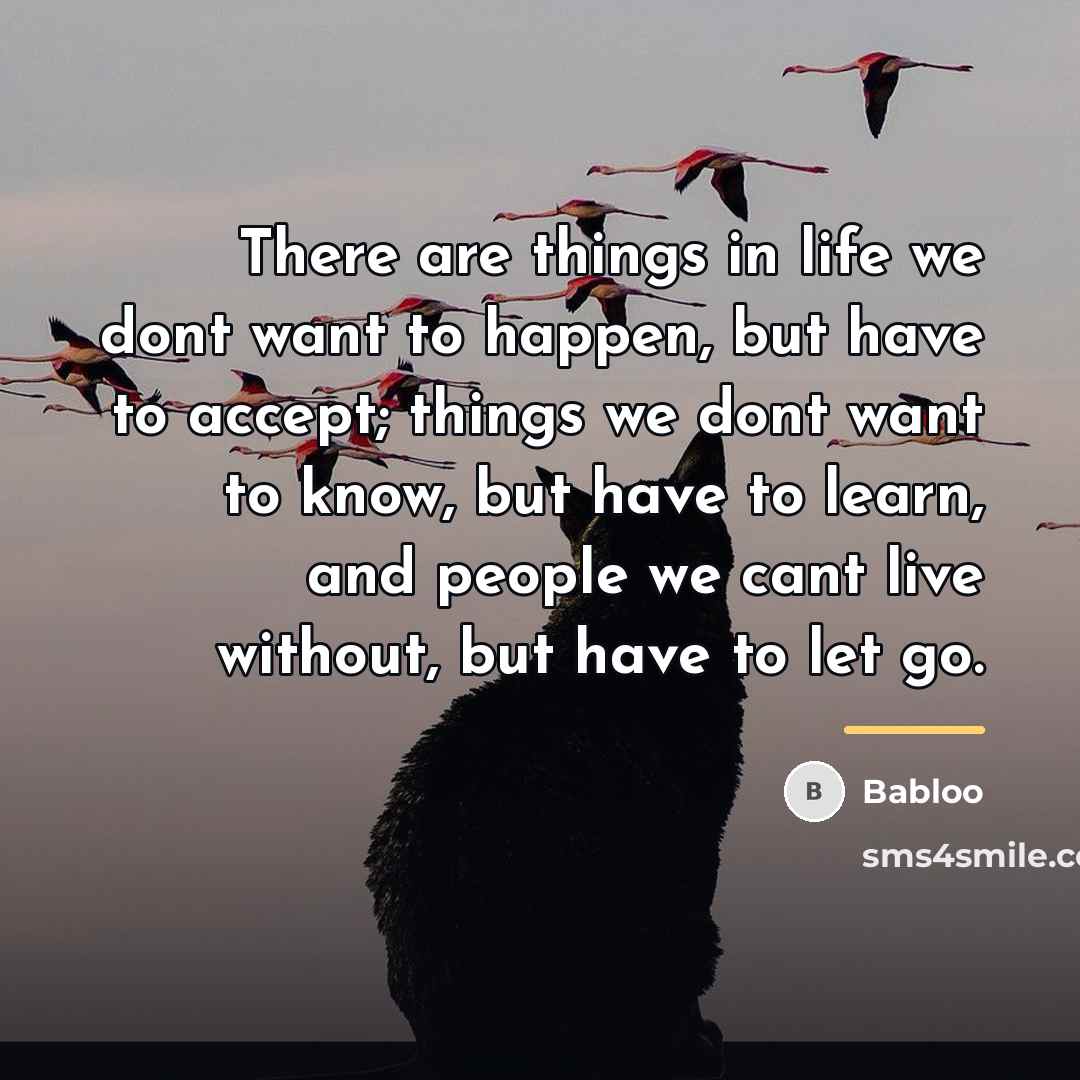 “There are things in life we dont want to happen,…” quote by Babloo