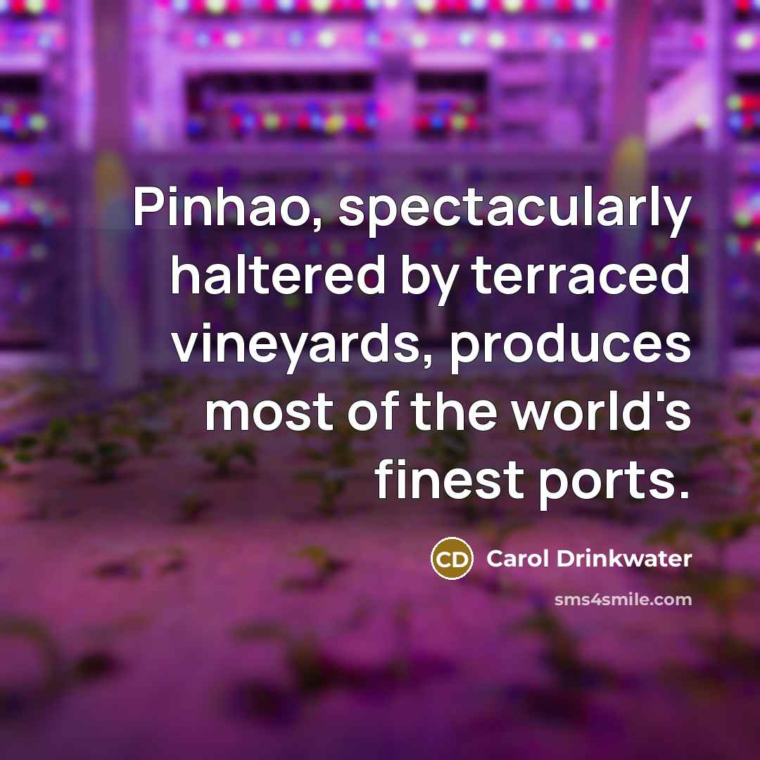 “Pinhao, spectacularly haltered by terraced vineyards, produces most of the…” quote by Carol Drinkwater