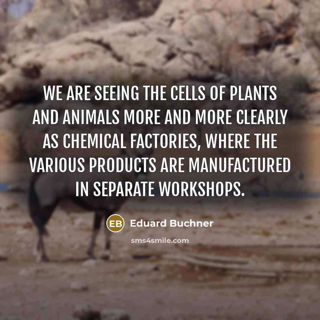 “We are seeing the cells of plants and animals more…” quote by Eduard Buchner