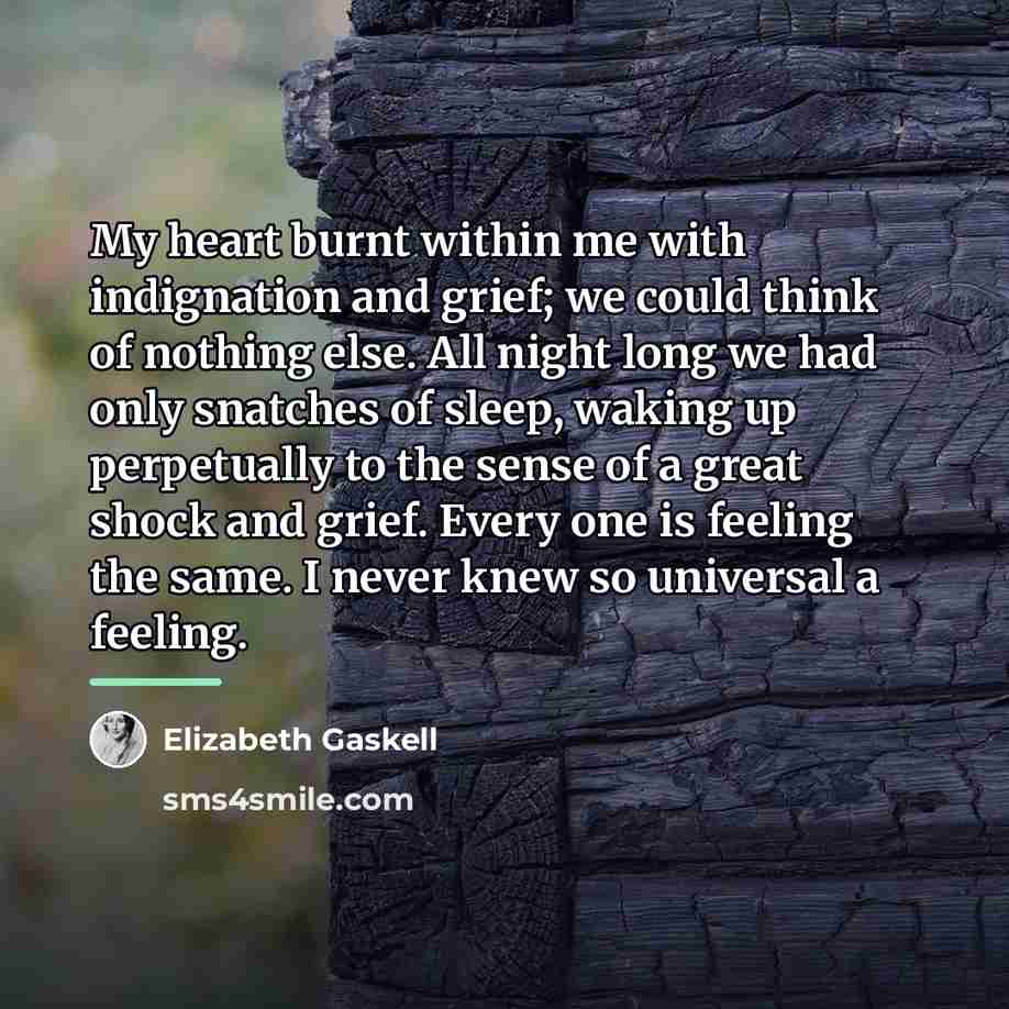 “My heart burnt within me with indignation and grief; we…” quote by Elizabeth Gaskell