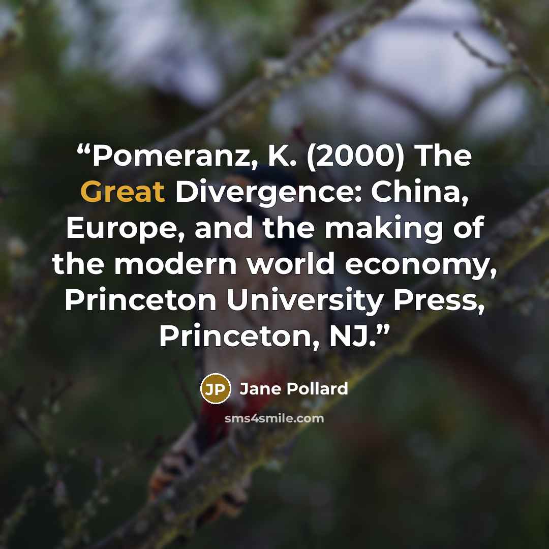 “Pomeranz, K. (2000) The Great Divergence: China, Europe, and the making of the modern world economy, Princeton University Press, Princeton, NJ.” quote by Jane Pollard