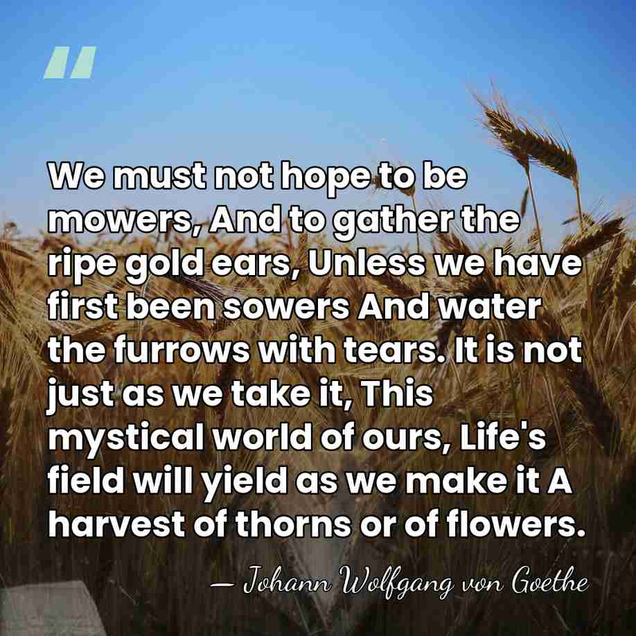 We must not hope to be mowers, And to gather the ripe&hellip; - Johann Wolfgang von Goethe