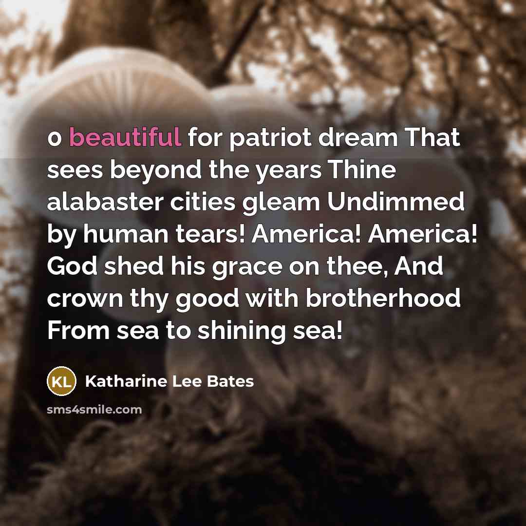 “0 beautiful for patriot dream That sees beyond the years…” quote by Katharine Lee Bates