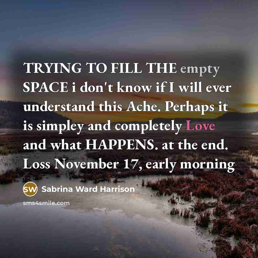 “TRYING TO FILL THE empty SPACE i don't know if…” quote by Sabrina Ward Harrison