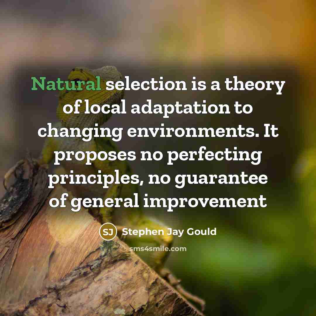 “Natural selection is a theory of local adaptation to changing…” quote by Stephen Jay Gould