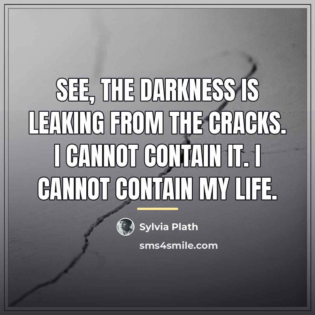 “See, the darkness is leaking from the cracks. I cannot…” quote by Sylvia Plath