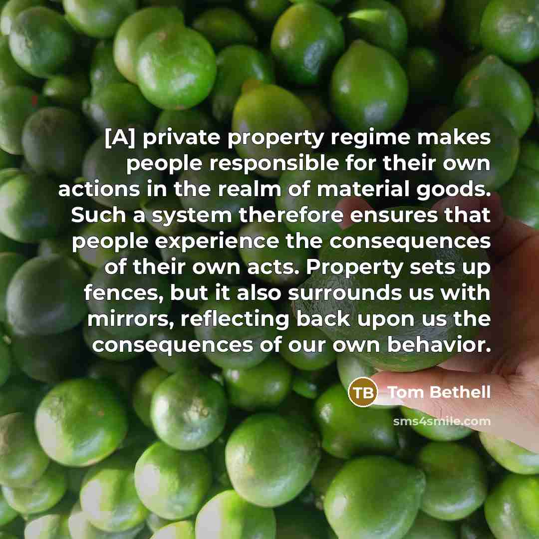 “[A] private property regime makes people responsible for their own…” quote by Tom Bethell