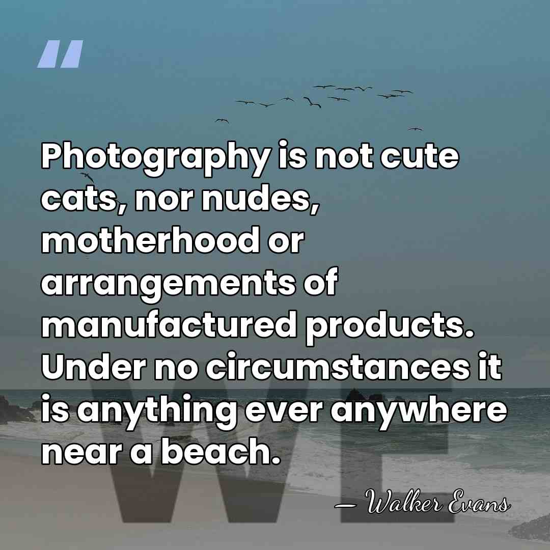 Photography is not cute cats, nor nudes, motherhood or arrangements of manufactured&hellip; - Walker Evans